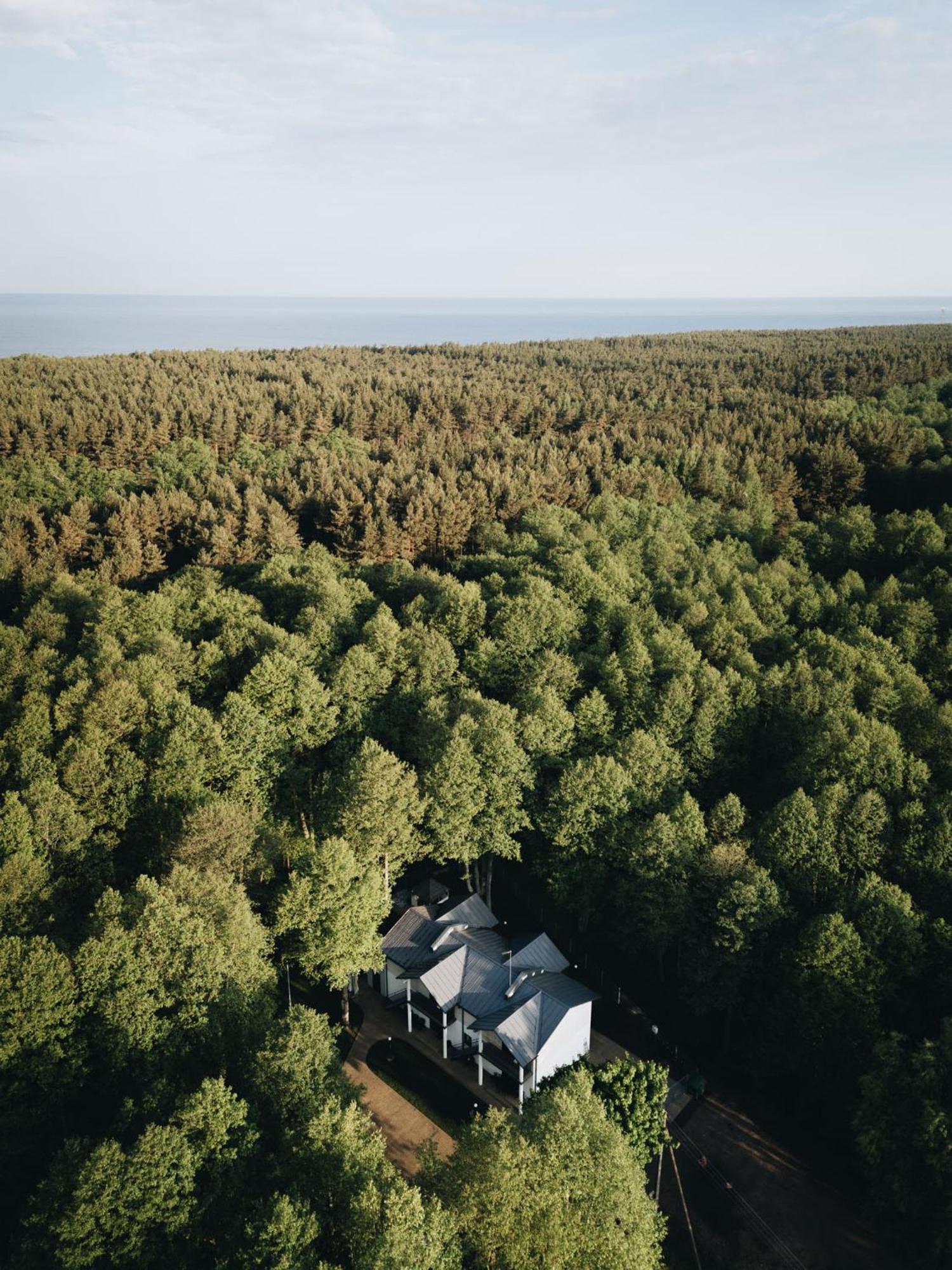 Nemirseta Forest Apartments Palanga Exteriér fotografie